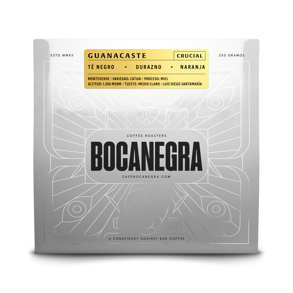Bolsa 250g - Guanacaste