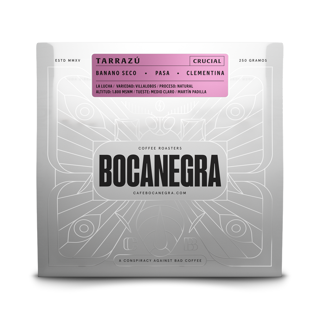 Tarrazú — Catuai Natural | Café Bocanegra– Bocanegra Coffee Roasters