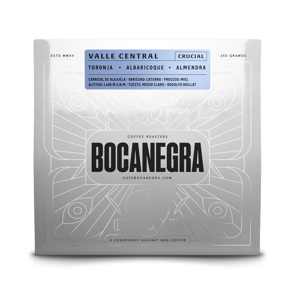 Bolsa 250g - Valle Central