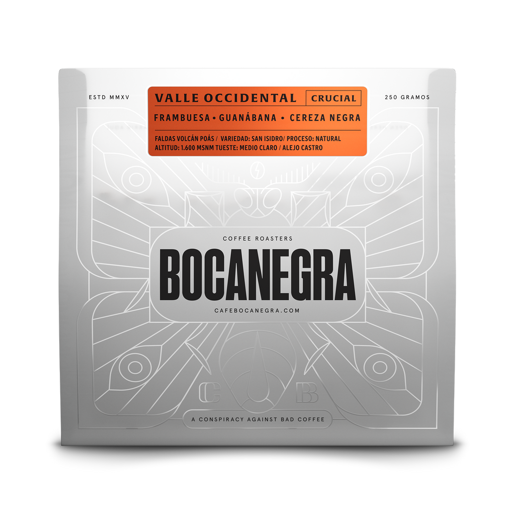 Bolsa 250g - Valle Occidental